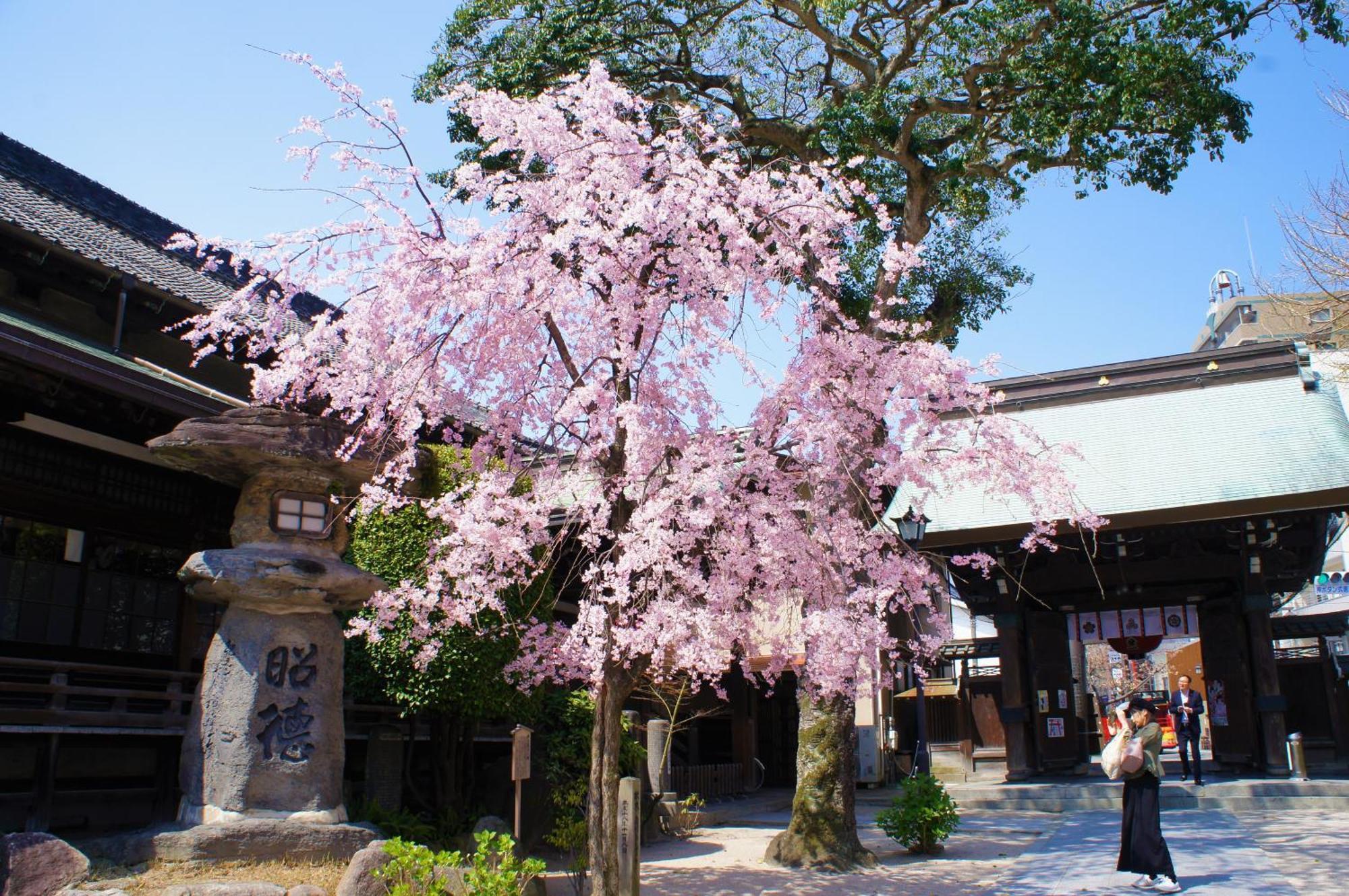 博多维贝斯旅舍 旅馆 福岡